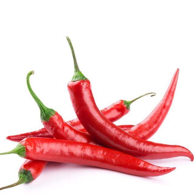 博美犬哪些食物不能吃,博美犬不能吃的有哪些