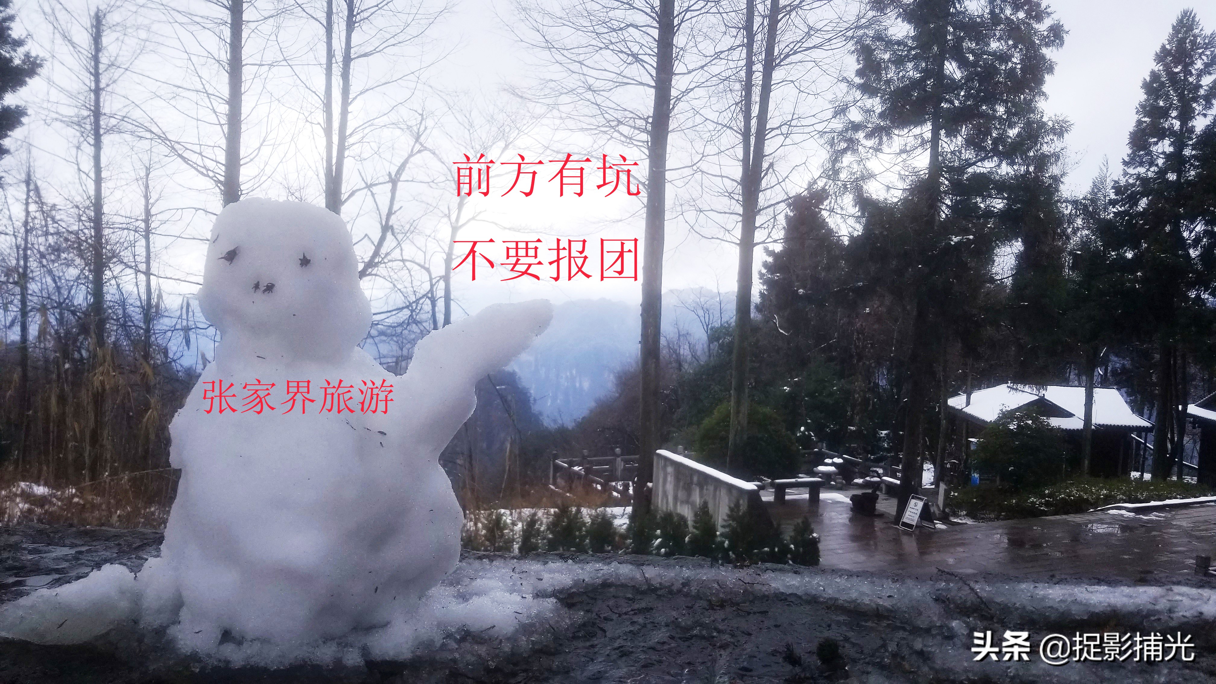 张家界跟团如何避坑,在张家界报团旅游陷阱