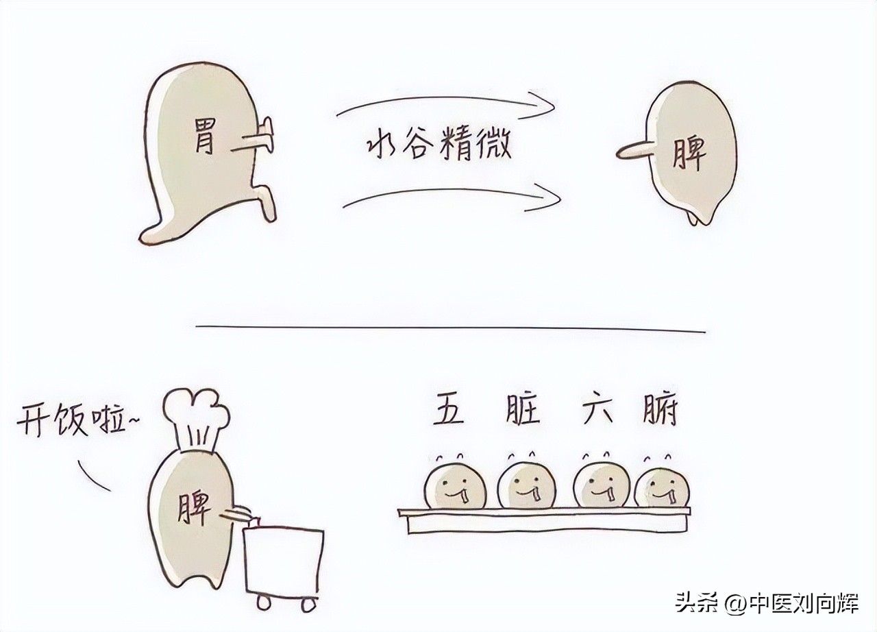 脾肾阳虚尿黄有点浑浊,肾阳虚会尿浑浊大便粘稠吗