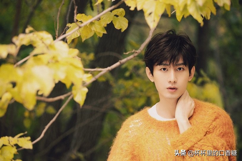 罗云熙王一博杨洋,十大美男罗云熙和王一博