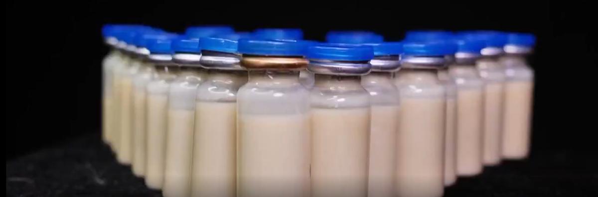 1992年,河北男子花30万买两只病鼠,几年后反而大赚8000万