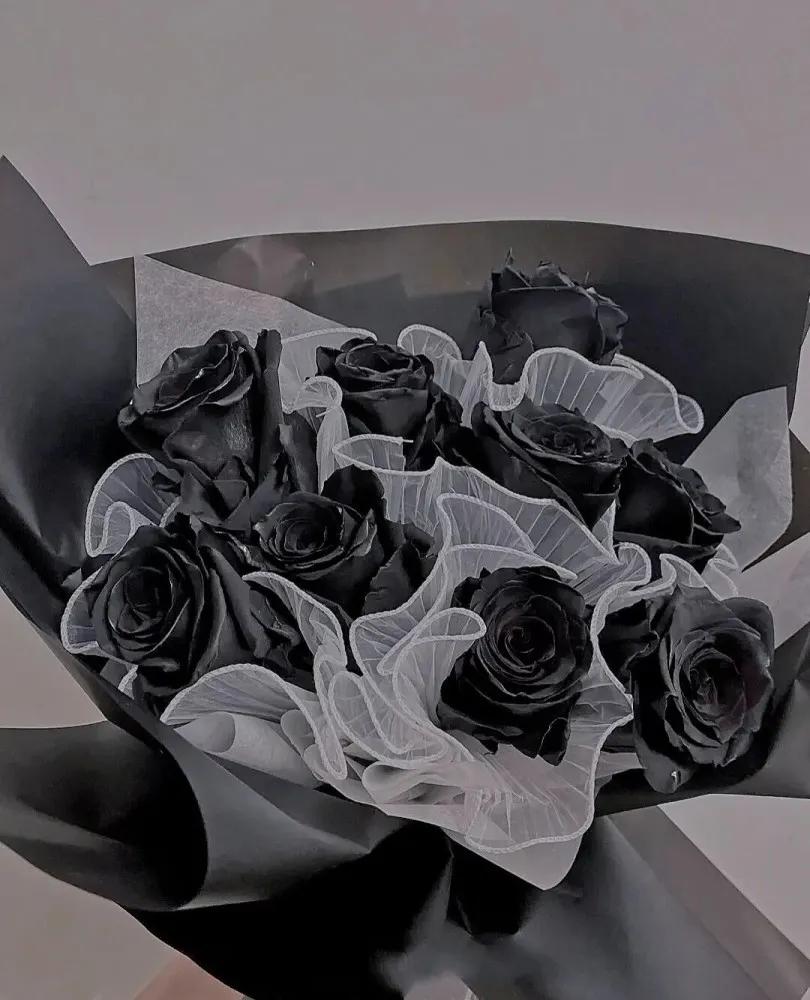 一朵白色玫瑰花的花语是什么,粉色玫瑰花和粉色绣球花花语