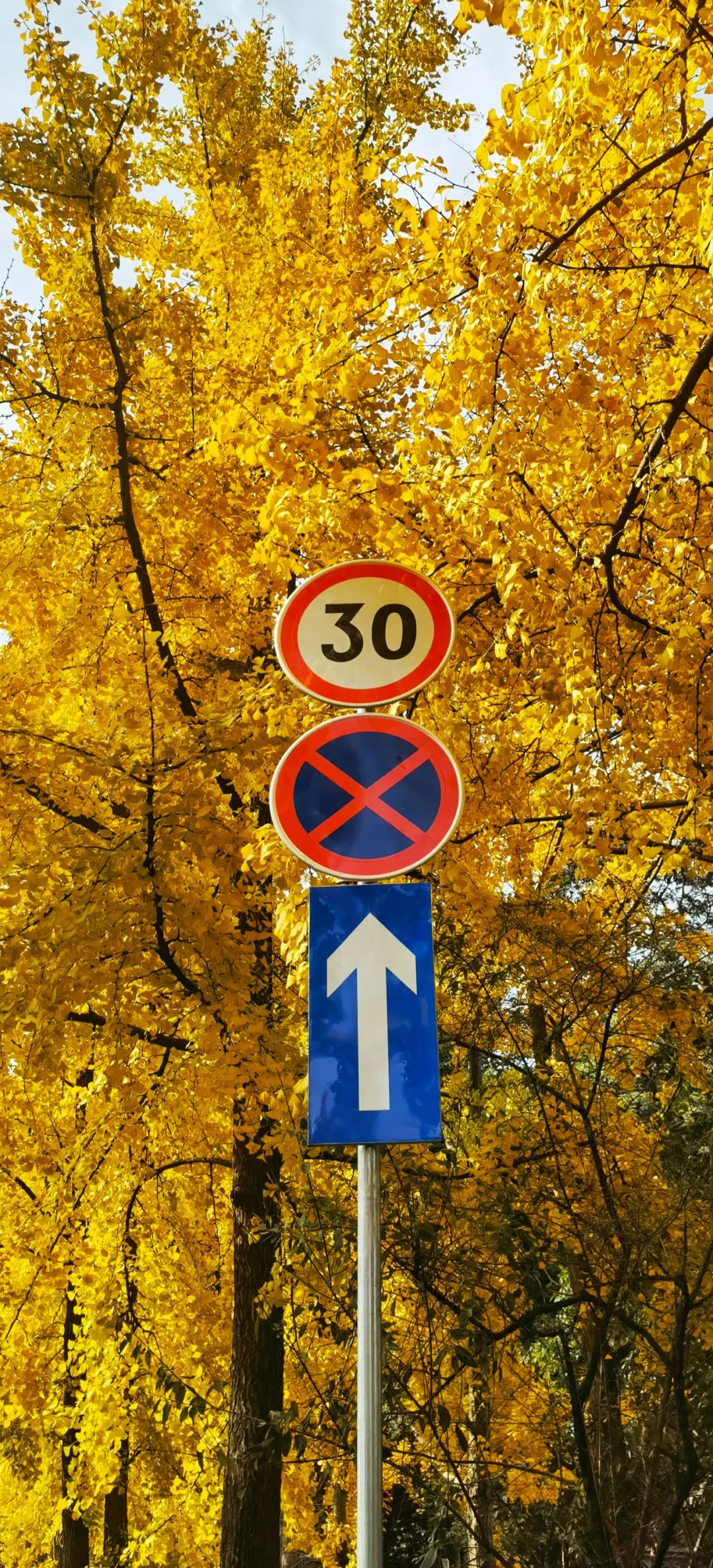 成都向上最新信息,年度向上力量合照