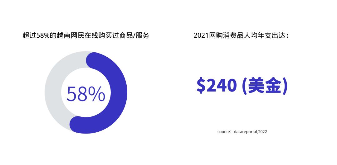 越南电商龙头,越南电商行情分析