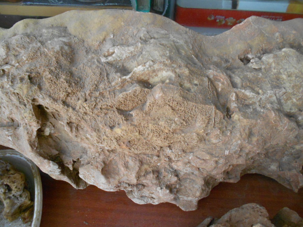 河边捡的哪些石头值得收藏,收藏精品石头