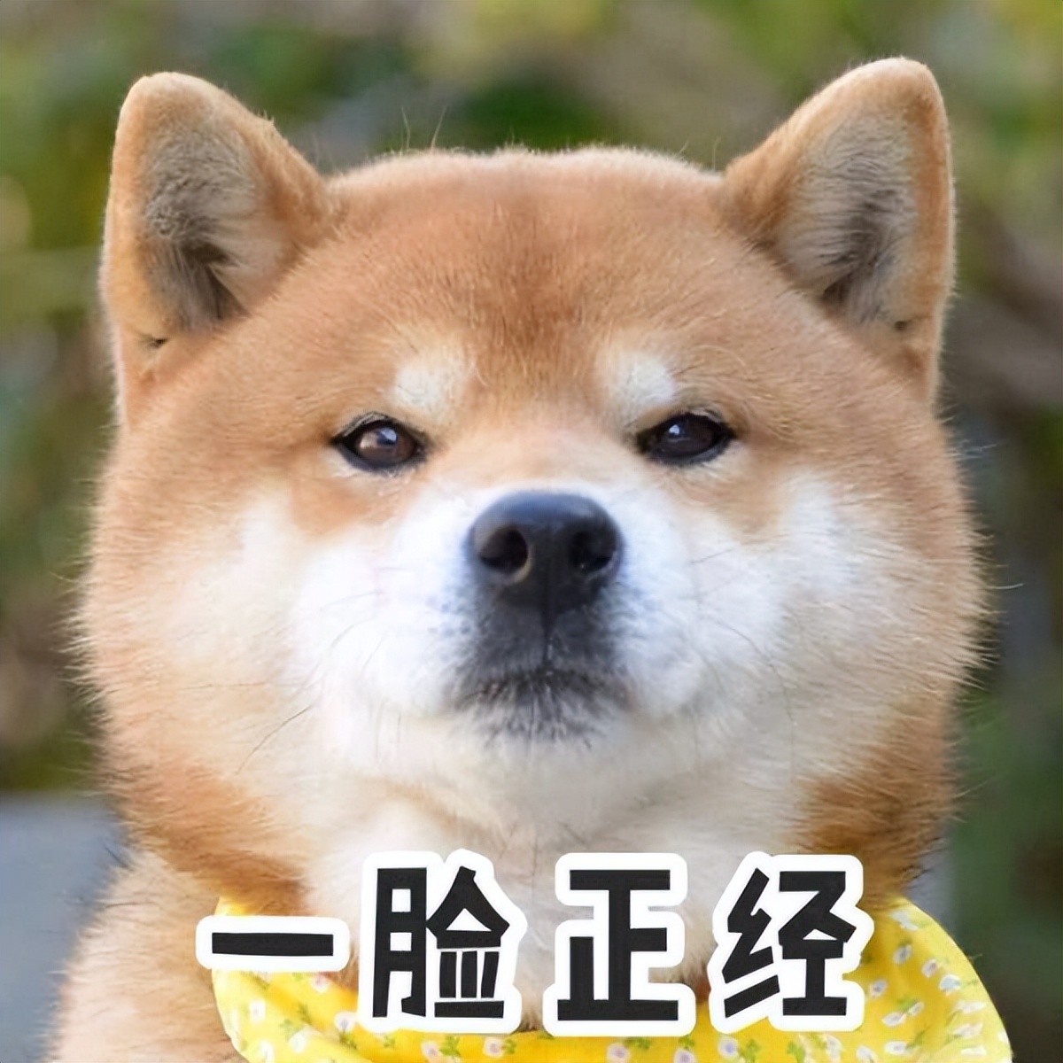 onexplayer高达限量版和普通区别,onexplayerminipro高达限量版