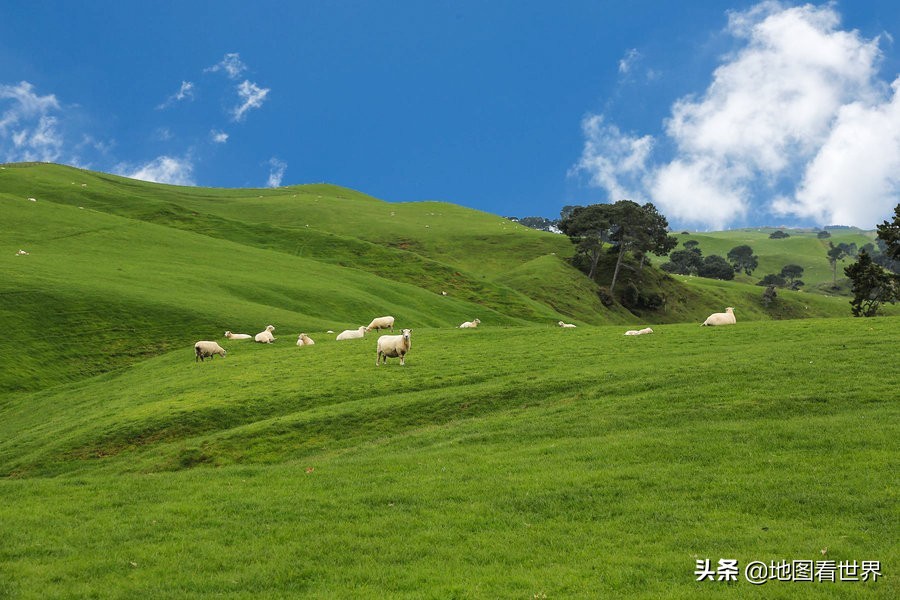 真实的新西兰你了解多少,新西兰国家讲解