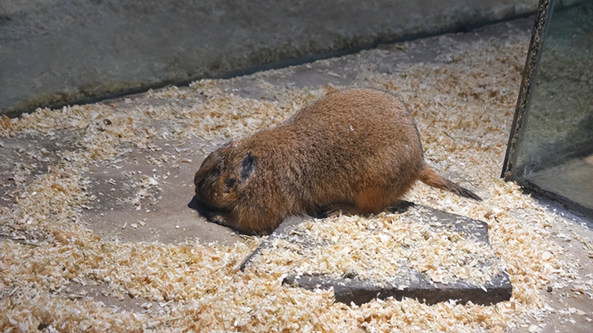 在江苏的“绿林仙海”中，寻找侠气与柔情