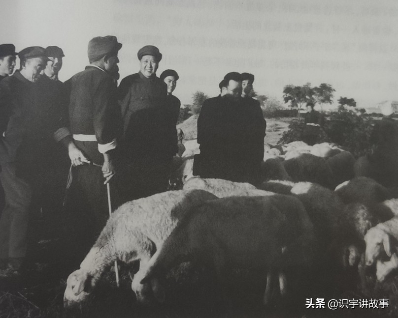 一次看个够！精心收集毛主席100张经典老照片，一起领略伟人风采