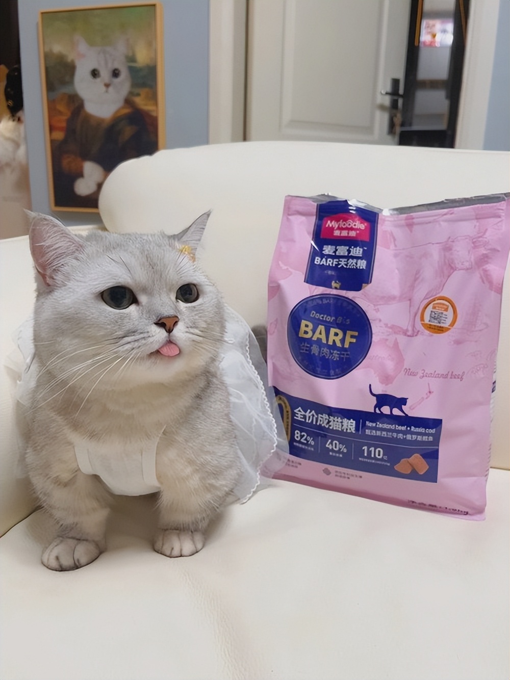 猫为什么喜欢喝主人杯子里的水,猫为啥喜欢喝人杯子里的水