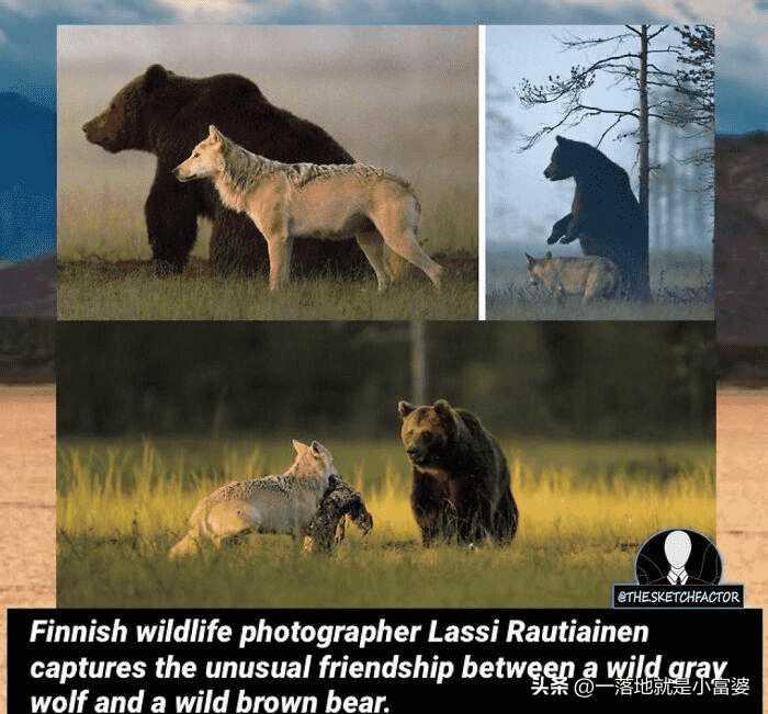 风姿绰约旗袍丽人图片大全,30张罕见的迷人老照片