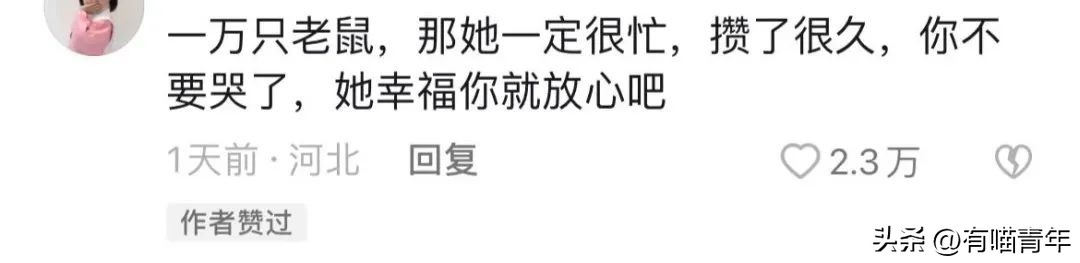 4个月的小奶猫爬上11楼求收养,破大防被拒绝
