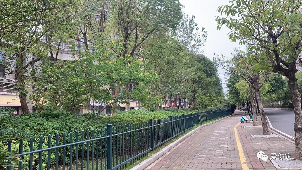 价值百万的买铺胜经！拿走不谢