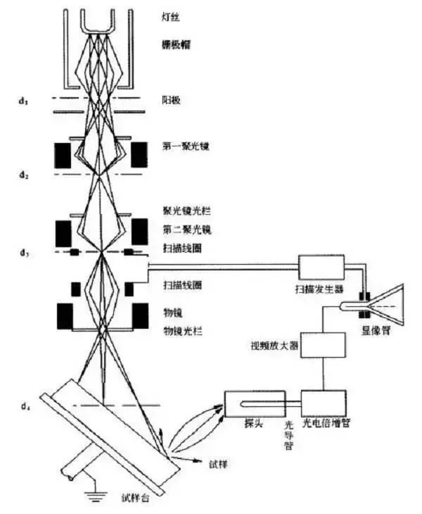 sem扫描电镜原理,扫描电镜工作原理与使用方法