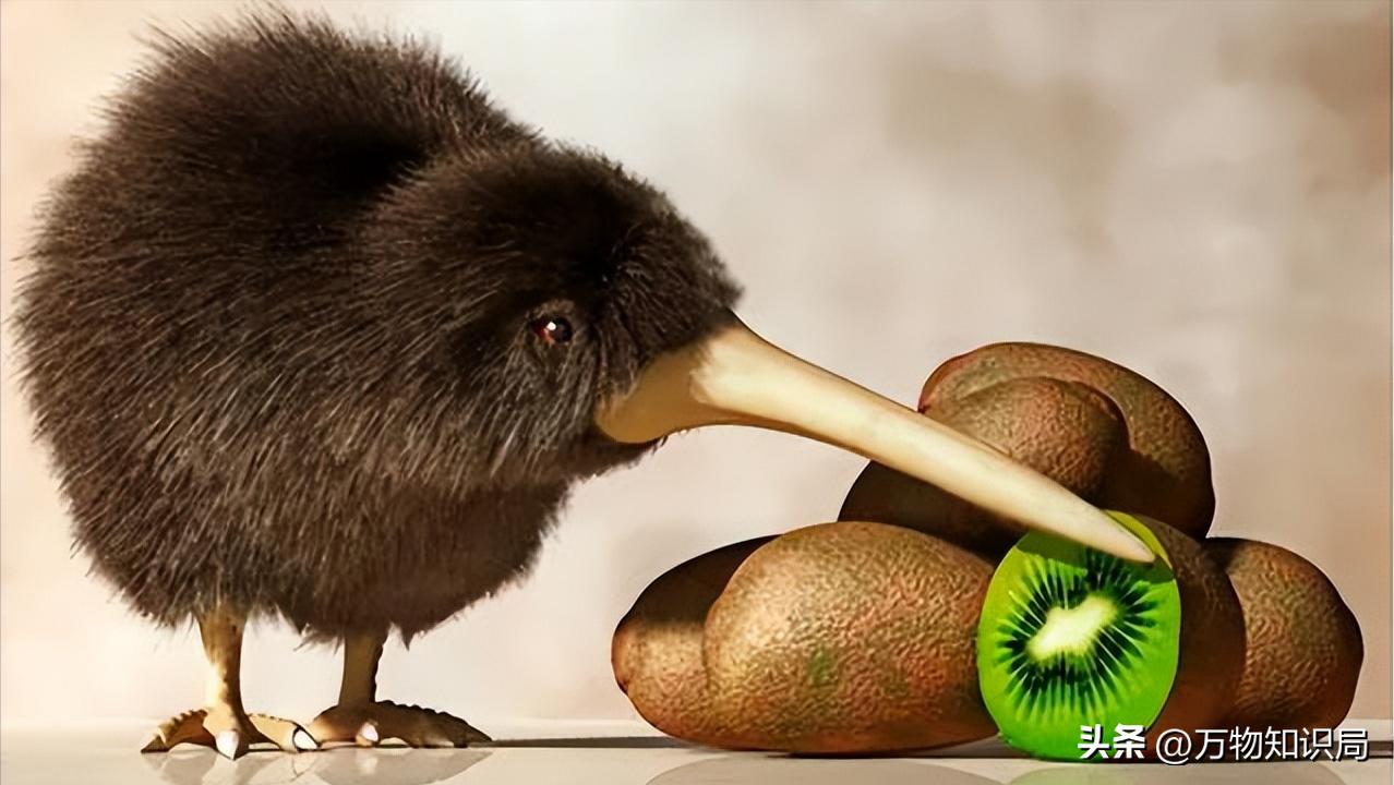 新西兰控告中国果农胜诉了吗,果农罚款