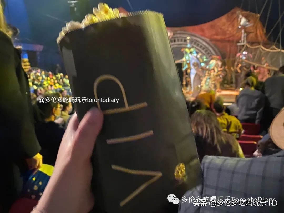 多伦多五星级酒店哪个好,多伦多极具特色的酒店推荐