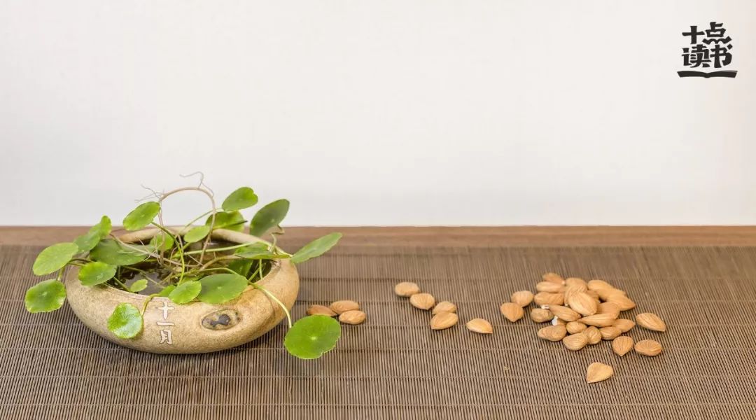 什么是小聪明,聪明和小聪明有什么区别