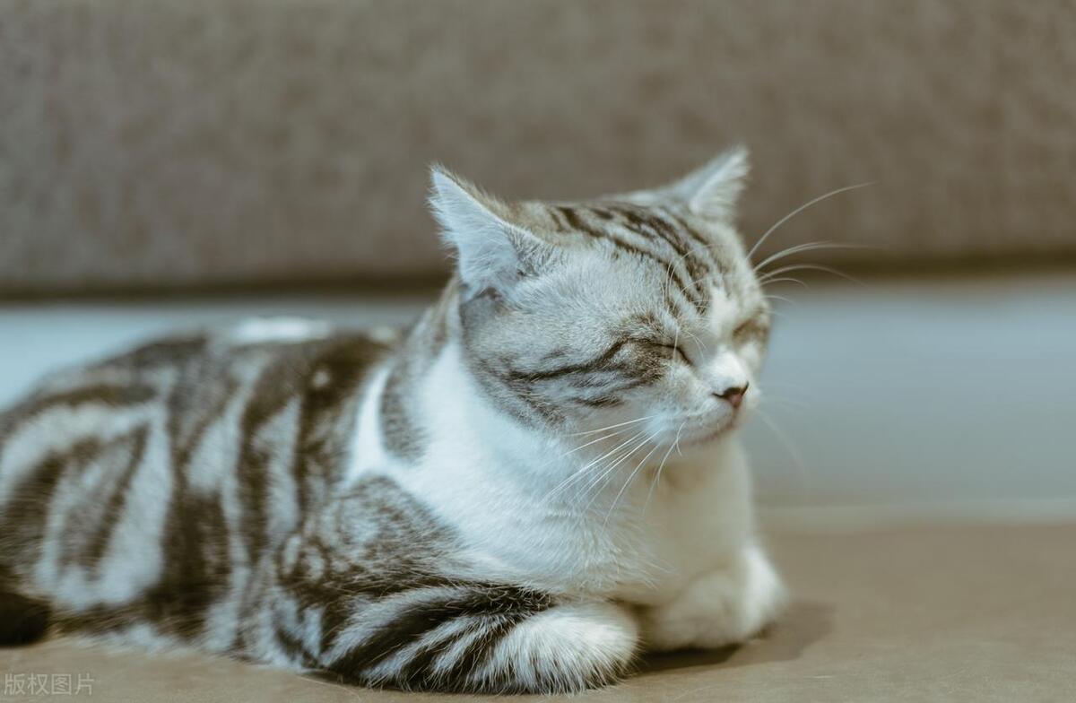 眼睛干涩吃什么食物好得快,口苦眼睛干涩吃什么食物可降火