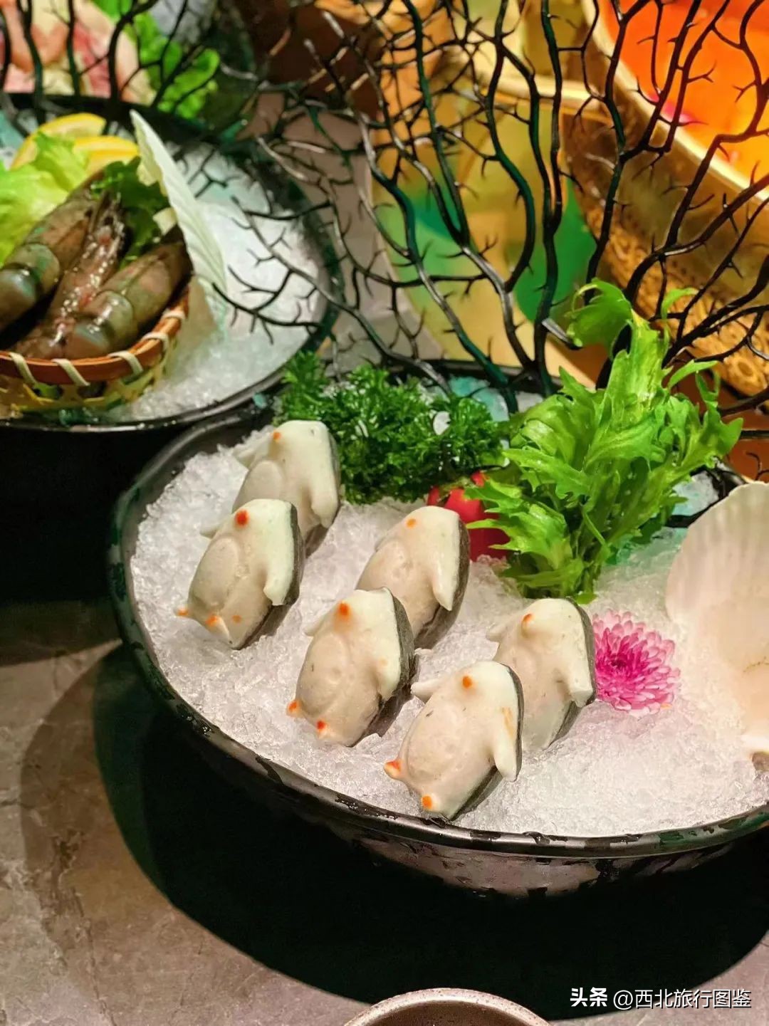 第一次来兰州被夜景所震撼,没想到第一次去陌生城市