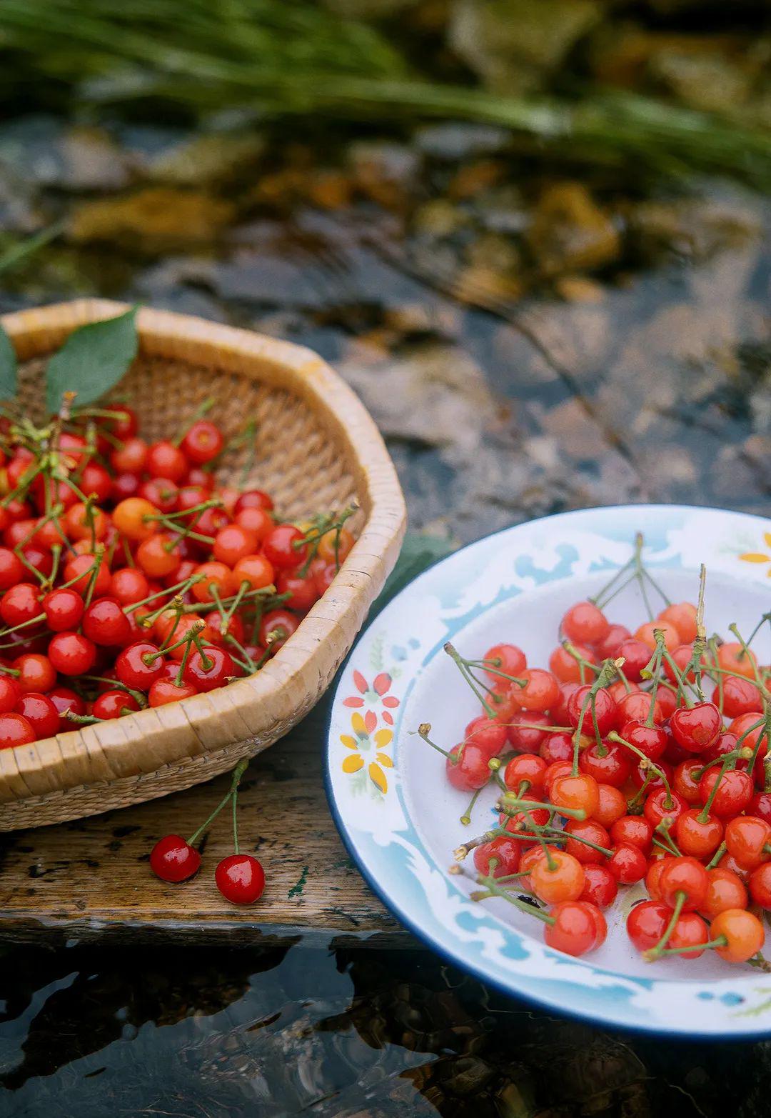 青岛在哪摘樱桃,青岛摘樱桃的好去处