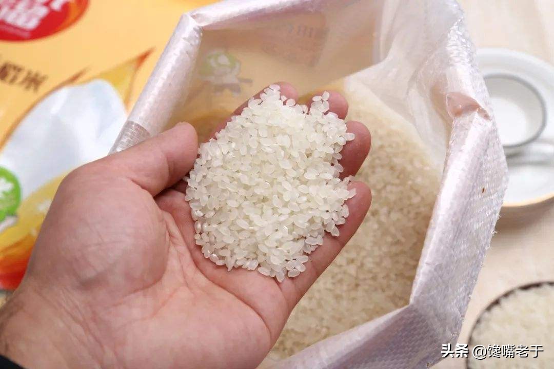如何辨别新米还是陈米,如何辨别薏仁米是新米还是陈米