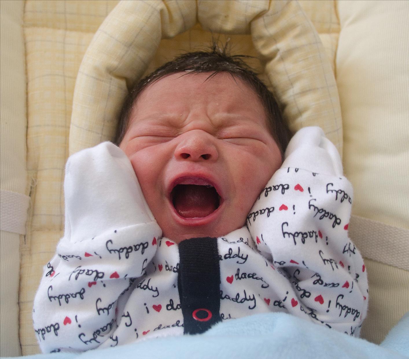 给新手爸妈的忠告,新手爸妈教育孩子的六件事