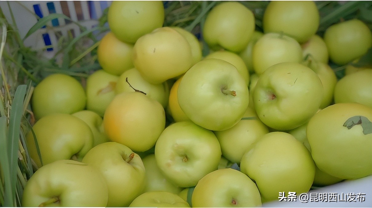“百味西山”引发网友热议，团结、碧鸡、海口三地美食成焦点