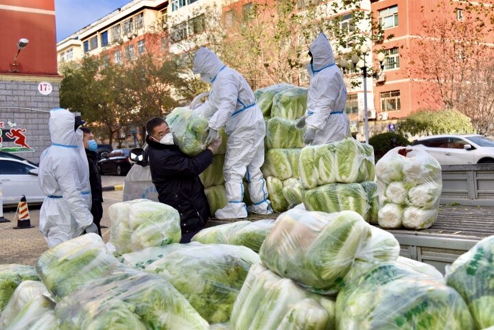 德州好邻居！东方家园一业主自掏腰包购买2.5吨蔬菜送邻里