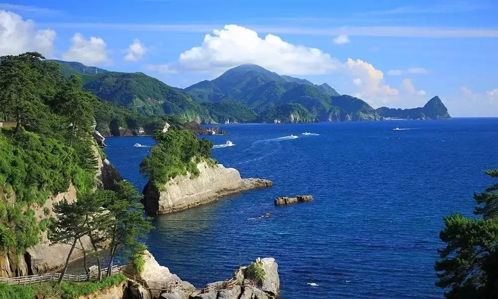 日本伊豆七彩神仙鱼,伊豆在日本哪个县