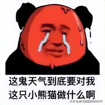 花伴交友会｜周日年轻线下活动，新人、新场地，缘分别错过