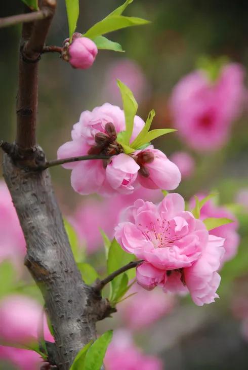 小姨子总是借钱该借吗,小姨子哭着来借钱