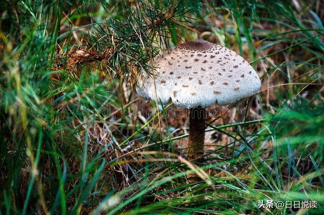 科普爱情观念,科普爱情的真相