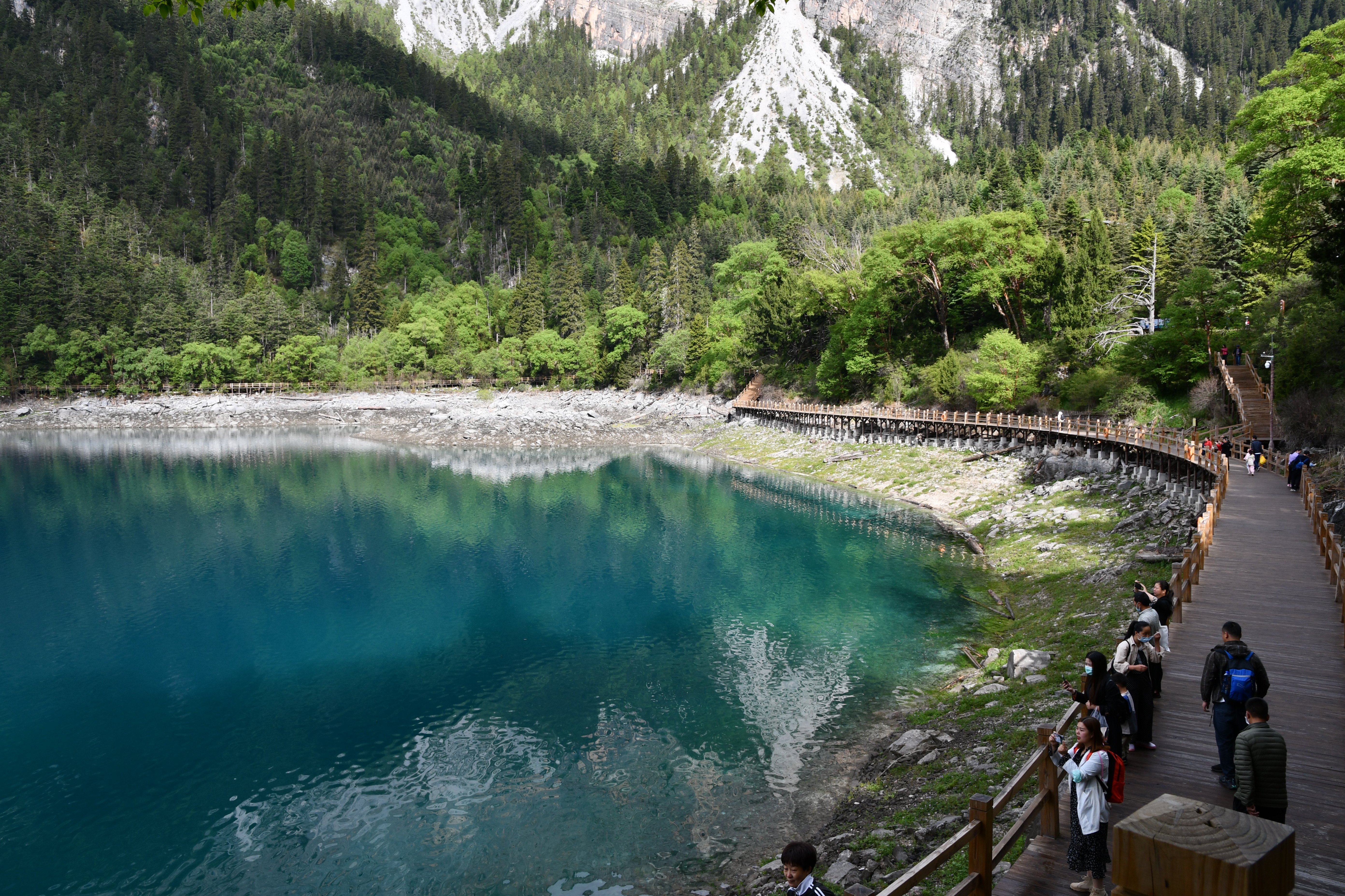 成都到九寨沟自驾旅游攻略自由行,成都到九寨沟旅游攻略最佳路线