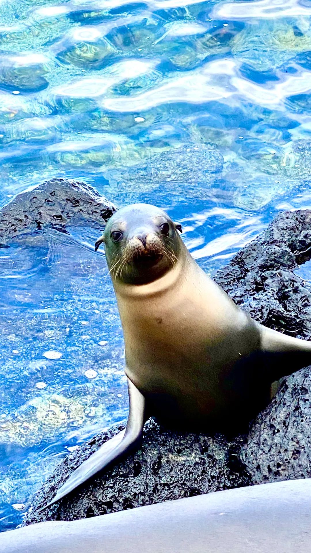 去神秘小岛探险,去神秘岛探险视频