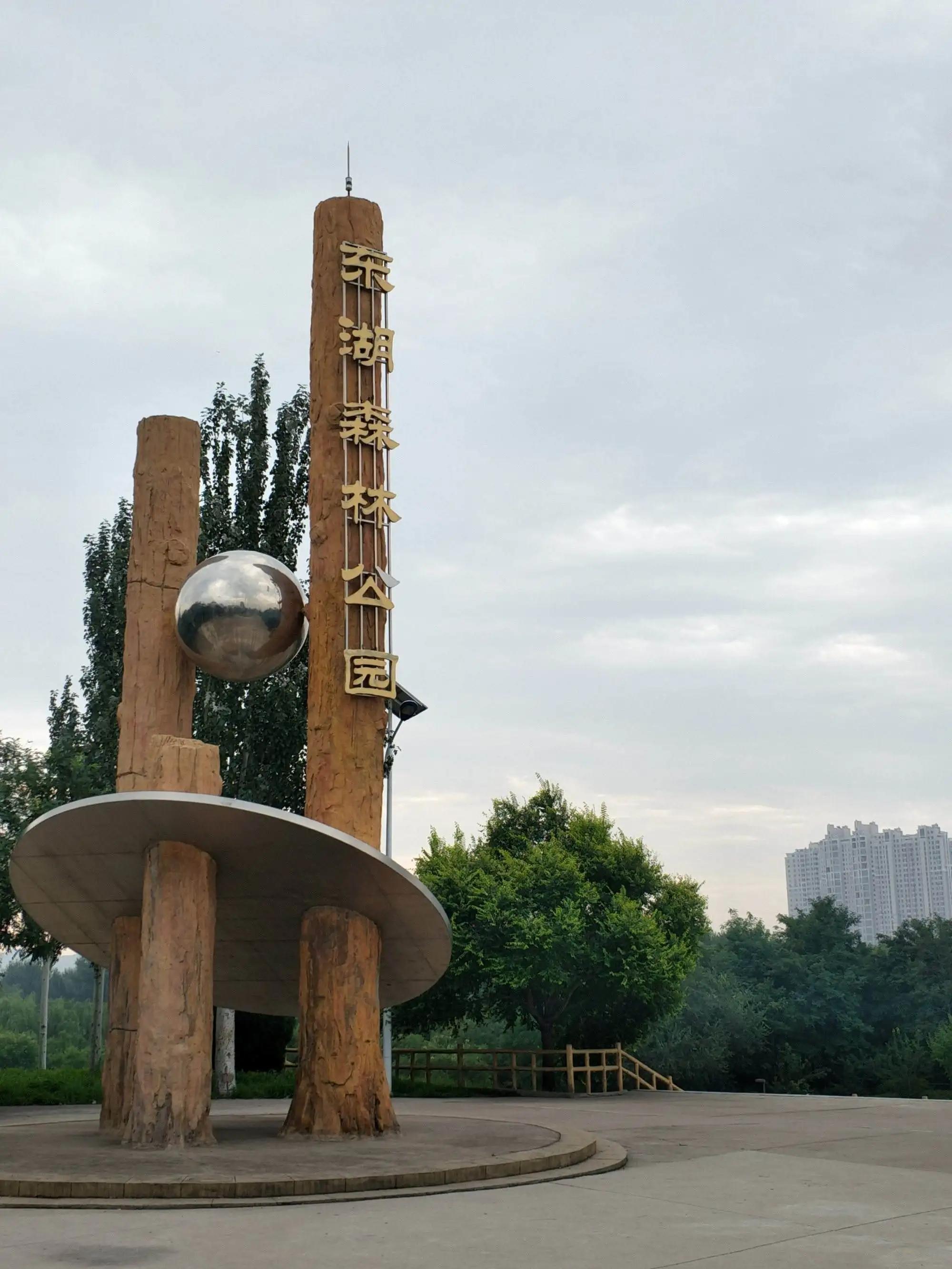 让人惊心动魄的一场乒乓球比赛,一场没赢乒乓球比赛收获了什么