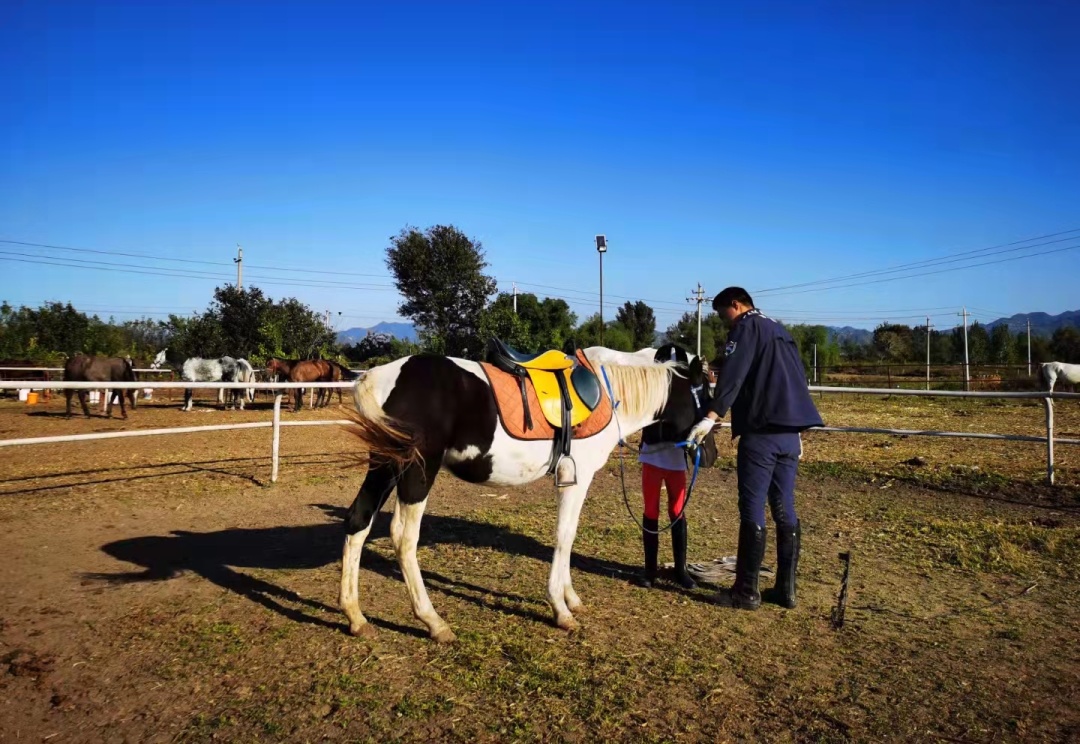 2023华杯赛夏令营,华誉外交官夏令营