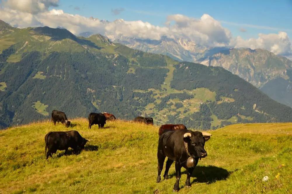 欧洲十大漂亮城市,欧洲十大最美城市