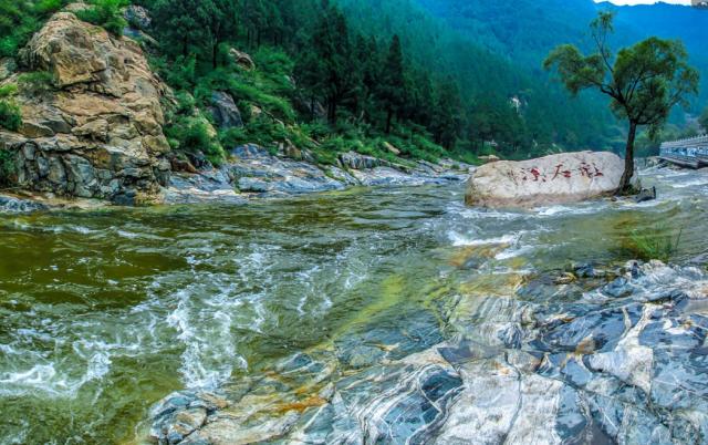 泰山景区忘记带身份证可以吗,泰山只带学生证能进吗
