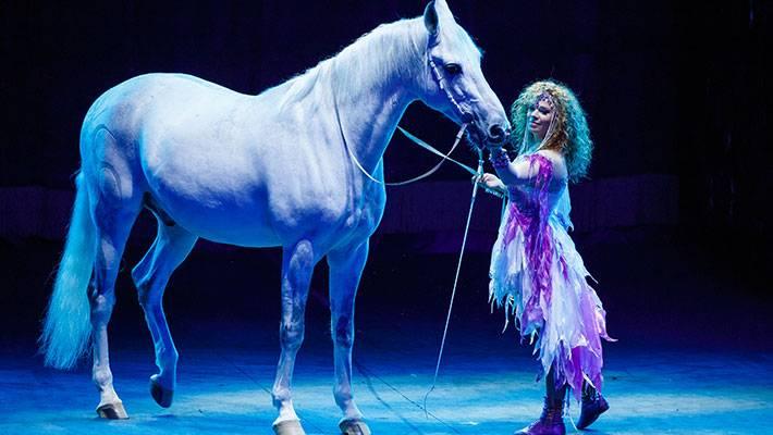俄罗斯国粹国家大马戏,俄罗斯国粹芭蕾舞
