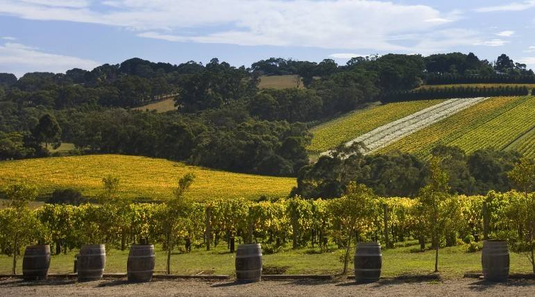 出国劳务招聘是不是都是骗人的,招出国劳务的岗位靠谱么