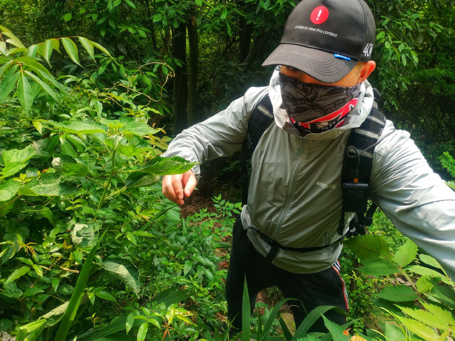 奈特科尔06驱蚊器,奈特科尔驱蚊器emr06