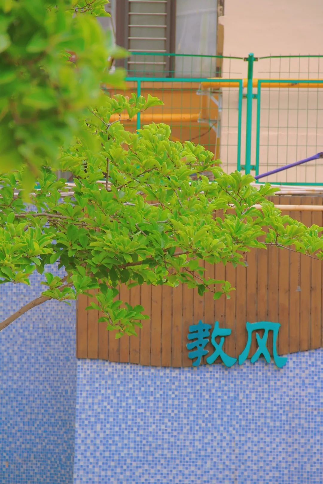 太原迎泽滨河小学,太原市滨河小学在哪里
