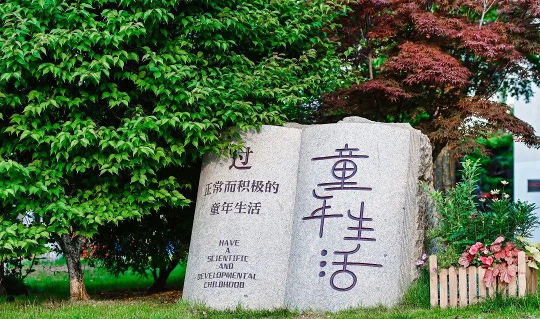 张家港义务教育入学通知书,张家港义务教育招生平台如何操作