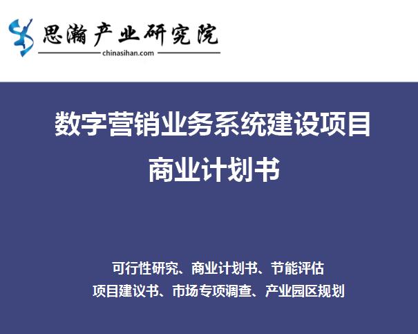 数字营销项目融资商业计划书,数字营销创业计划书模板