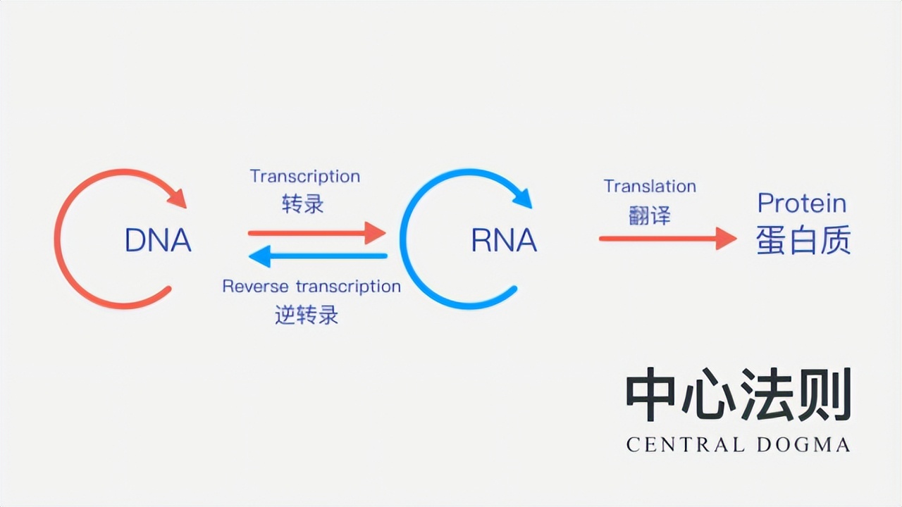 生物学是什么,生物学是什么学科