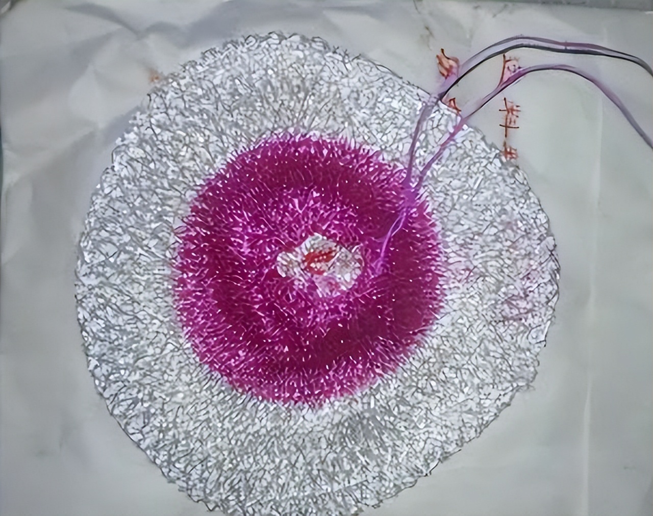 70-80年代供销社里卖的国货日用品,七八十年代供销社卖的老物件