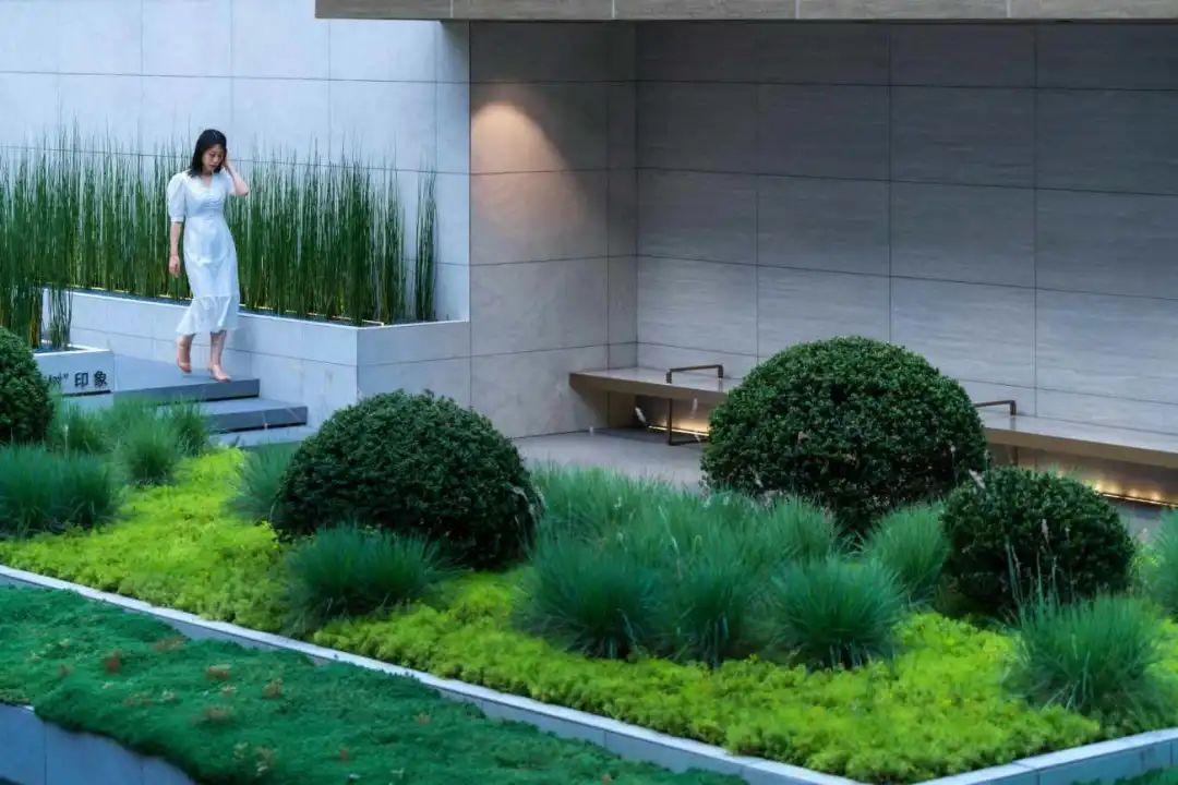 那些被我们忽略的风景,球球景观