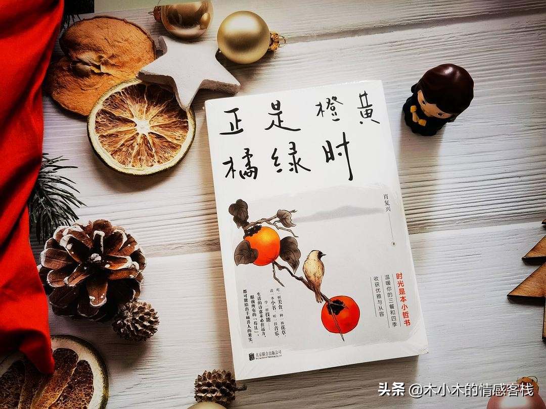 总有一些值得记录的瞬间,总有一些温暖的瞬间留在了心底