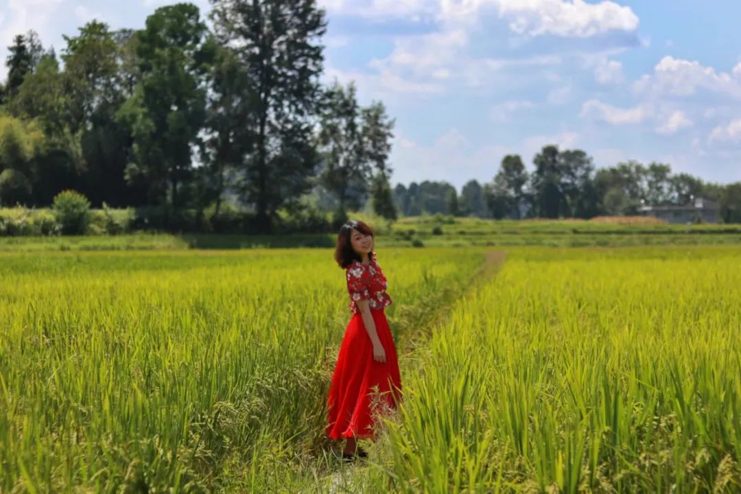 稻田野餐包场看银河！这个小城很出名，但你大概率没听过！