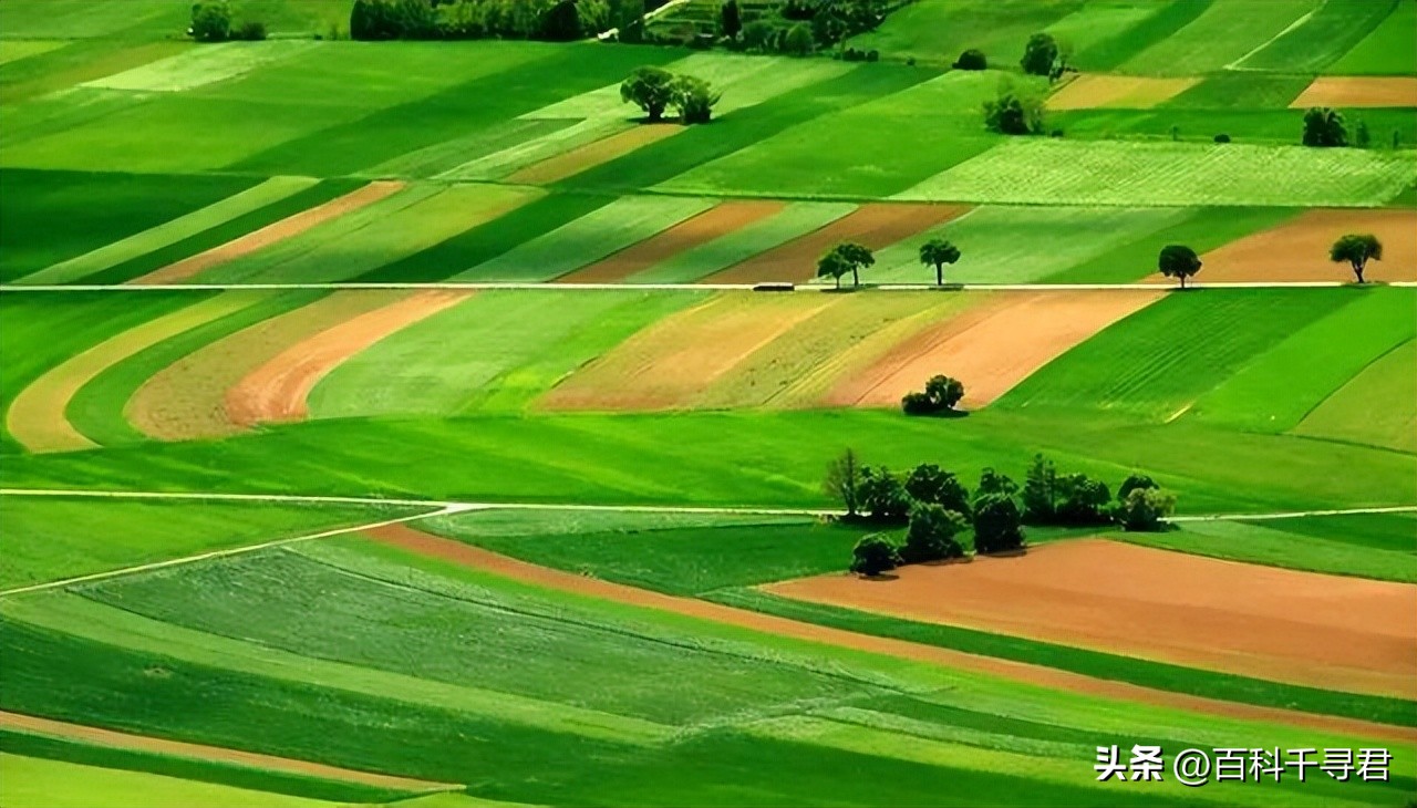 粮食产量对比表国家,粮食产量自给率